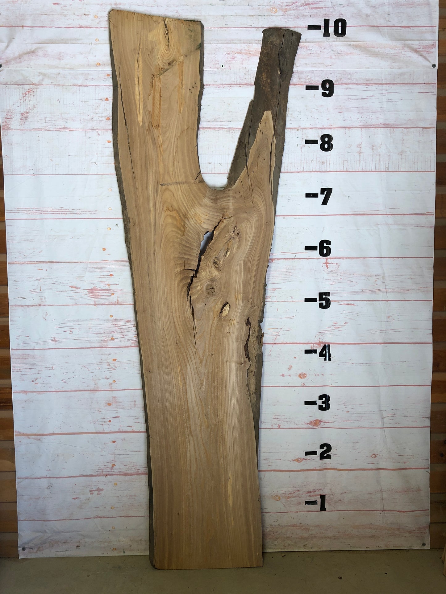 Live Edge Elm Sku#22644-56