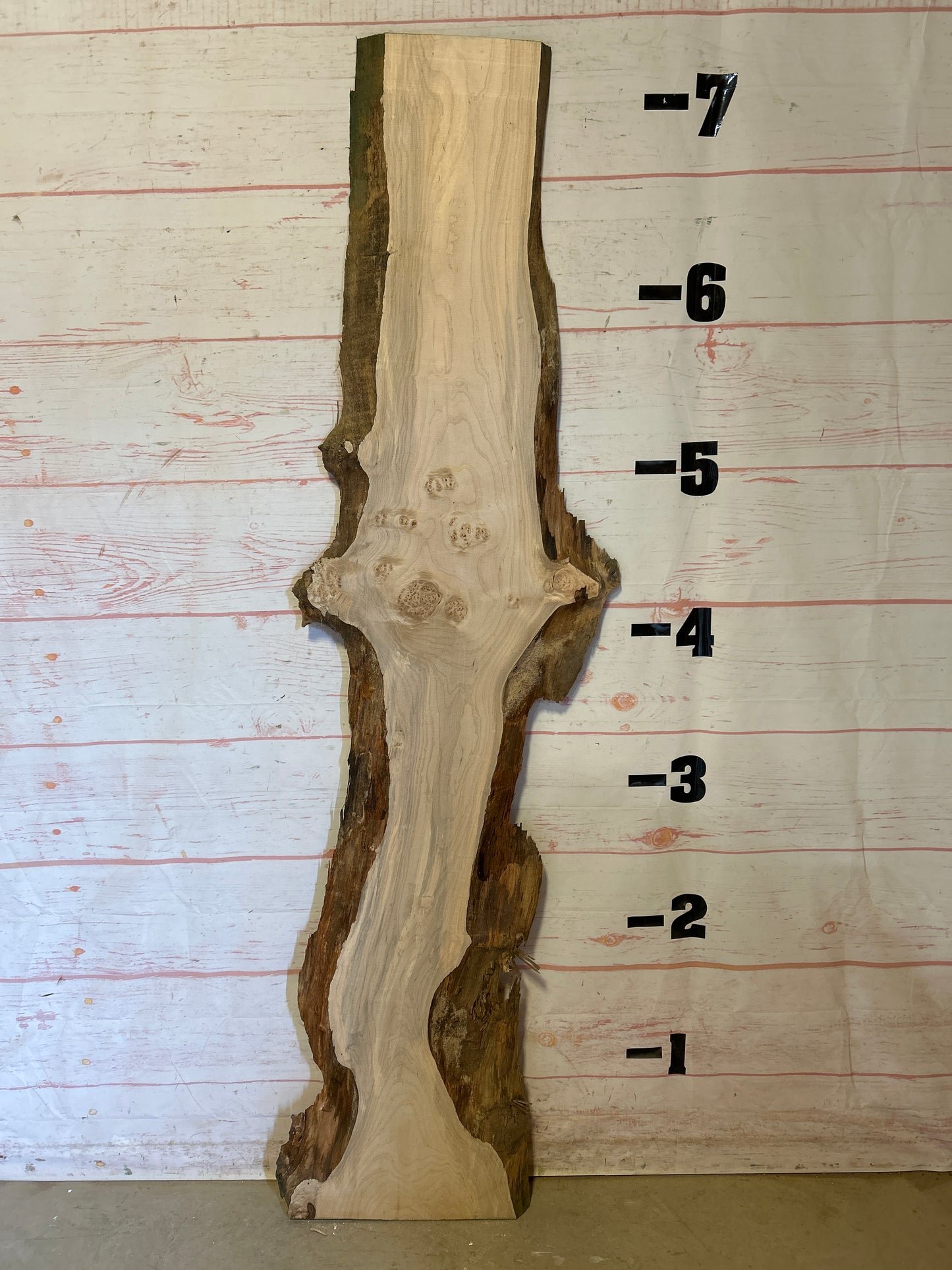 Live Edge Maple Sku#24676E-17