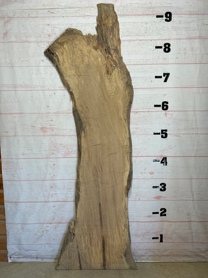 Live Edge Maple Sku#26262-44