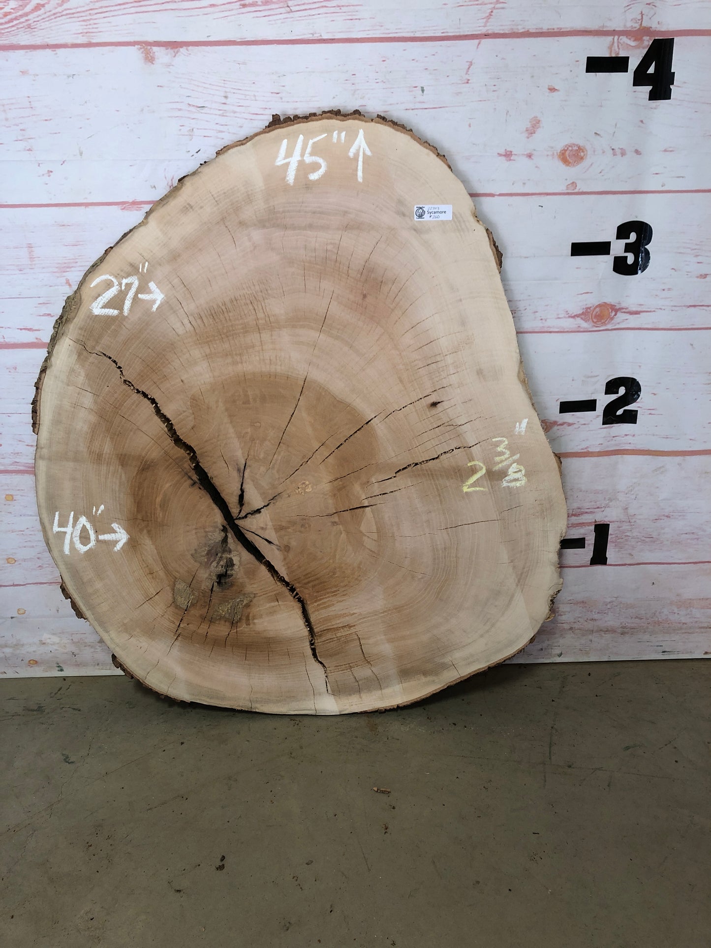 Live Edge Sycamore Cookie Sku# 22343M