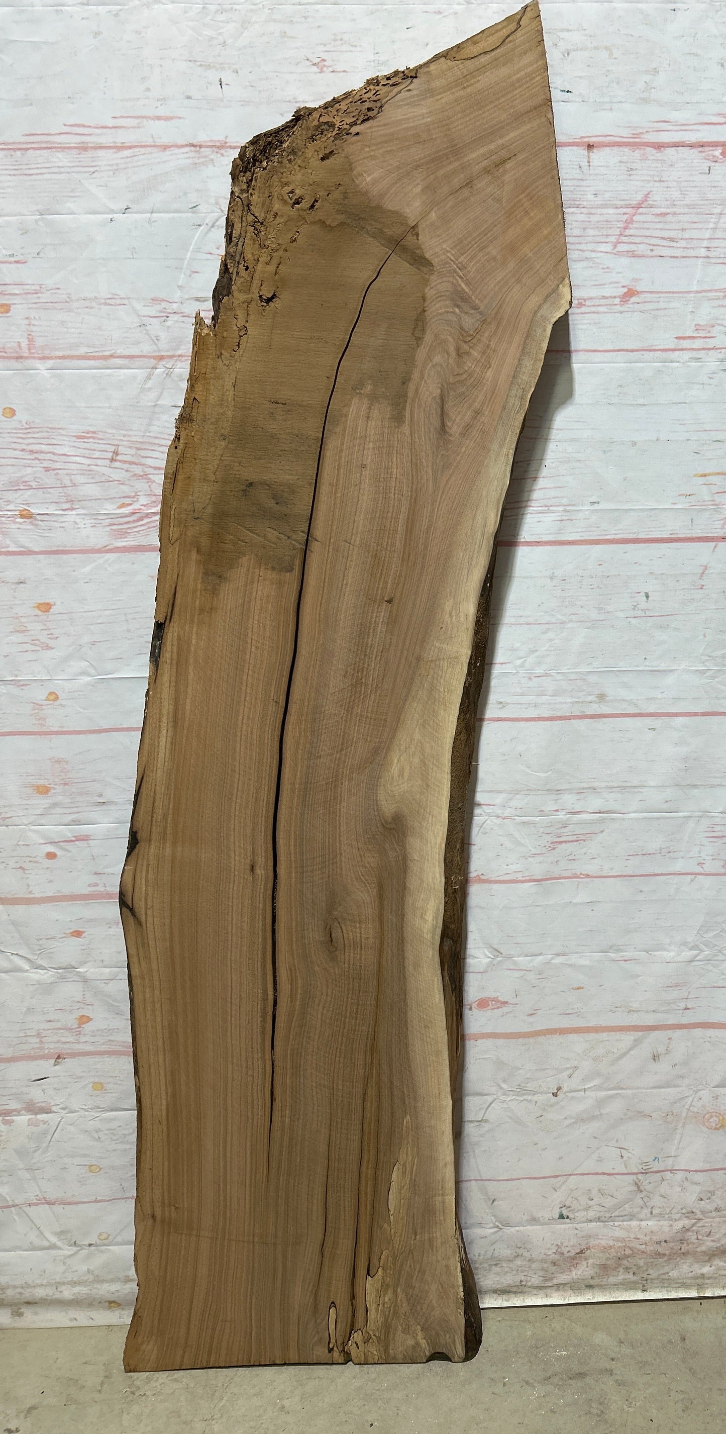 Live Edge Butternut Sku#26751-19