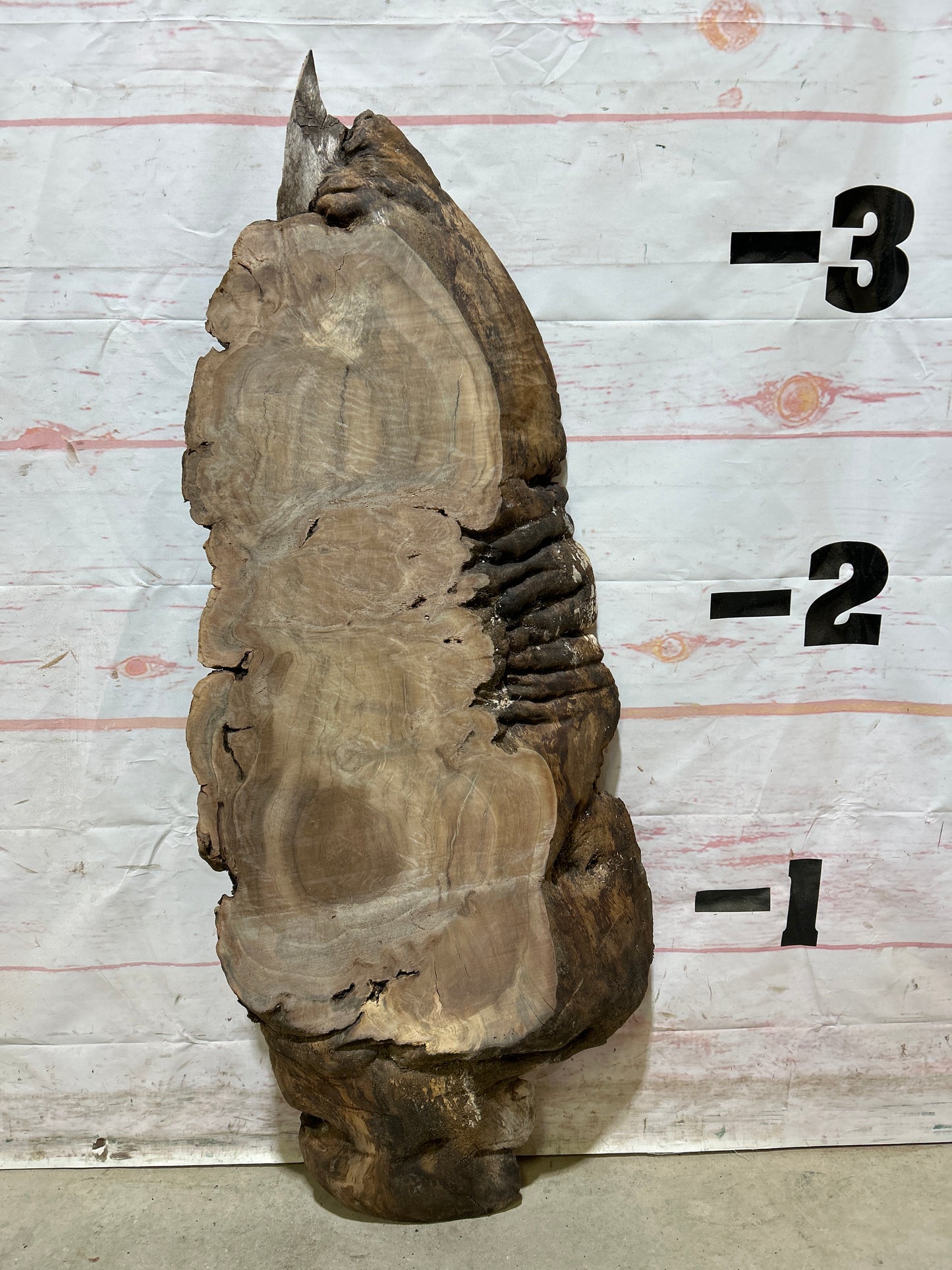 Live Edge Walnut Sku#26926M-9