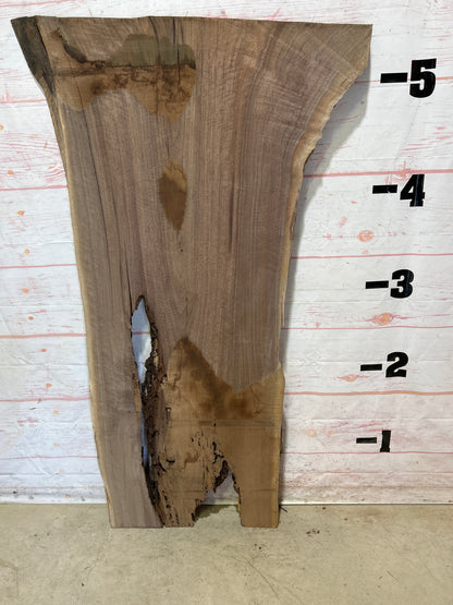 Live Edge Walnut Sku#25466-29