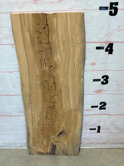 Live Edge Ash Sku# 26488H-19
