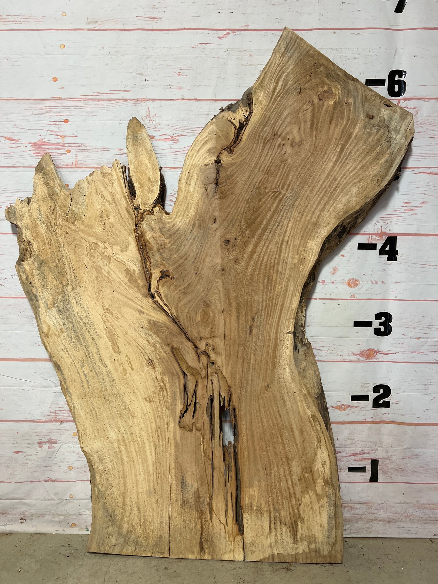 Live Edge Palm Sku# 21037-36