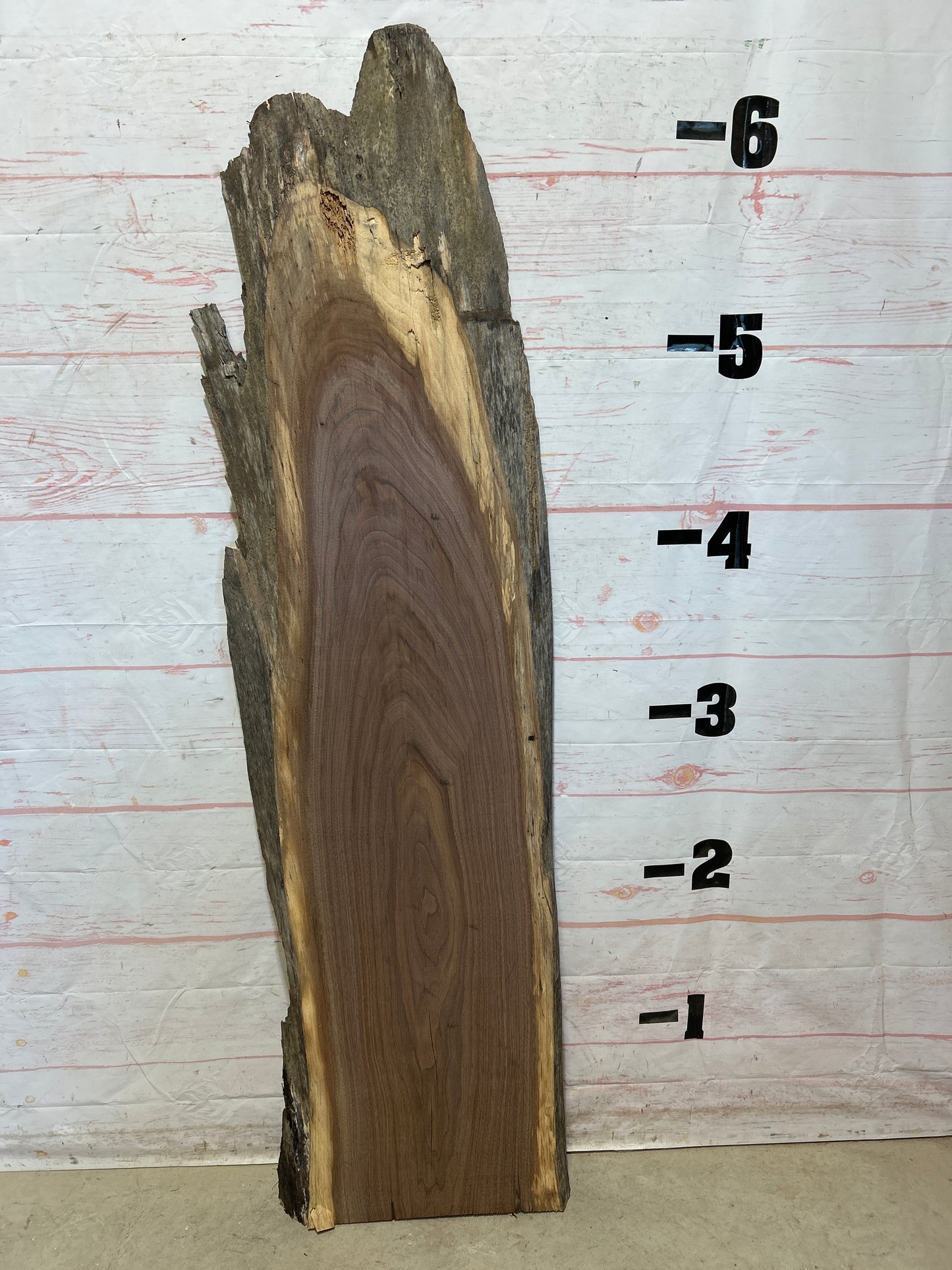 Live Edge Walnut Sku#26342F-19