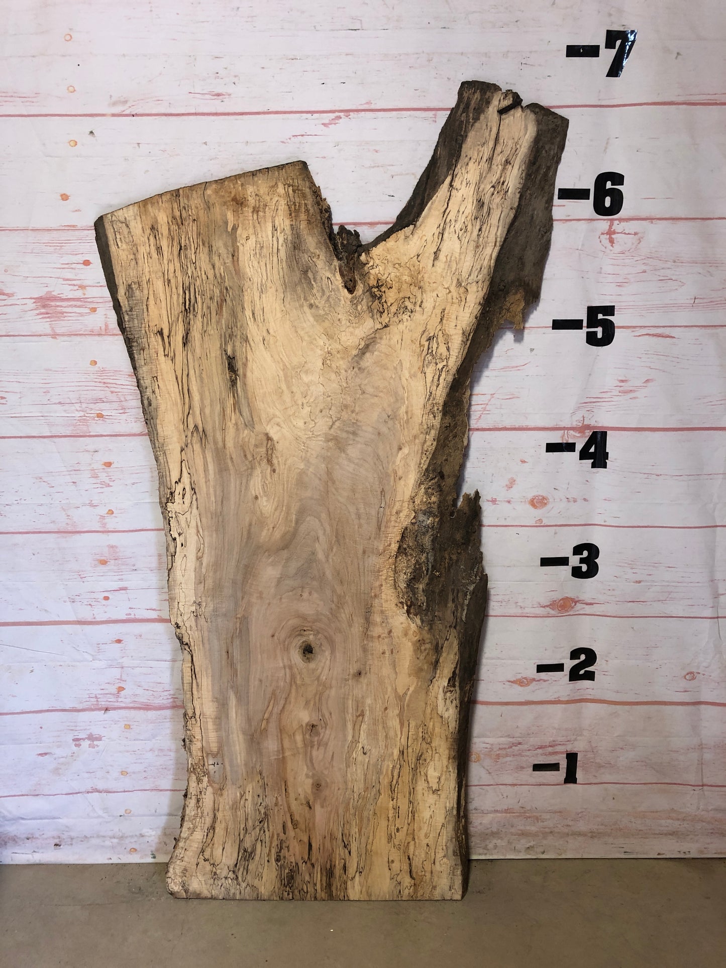 Live Edge Spalted Maple Sku#23218S-37