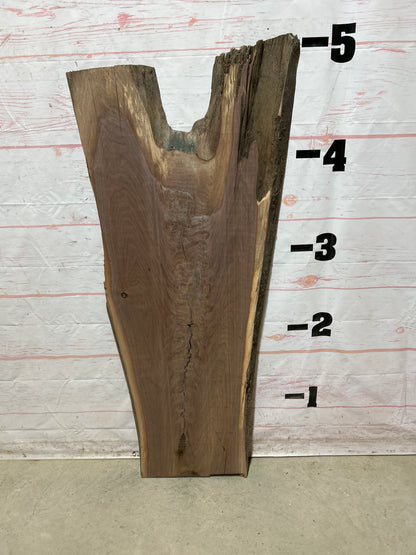 Live Edge Walnut Sku#26866A-18