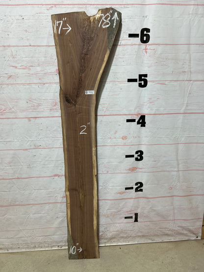 Live Edge Walnut Sku#27078G-15