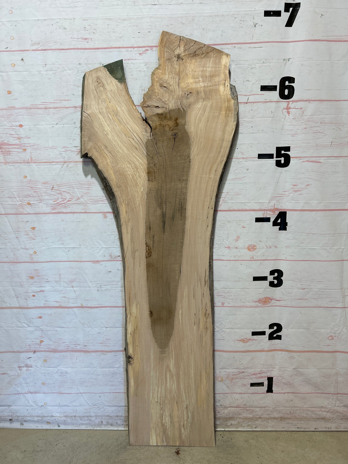 Live Edge Maple Sku#26166B-24
