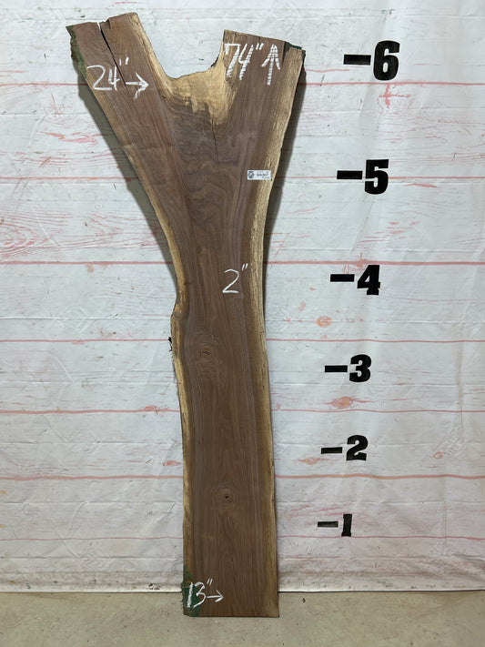 Live Edge Walnut Sku#27081G-20