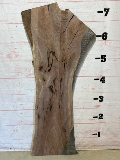 Live Edge Walnut Sku#26040J-37