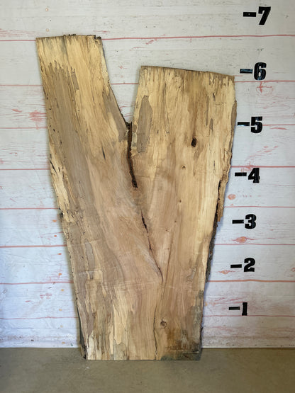 Live Edge Spalted Maple Sku#23922S-42