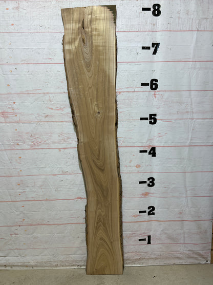 Live Edge Catalpa Sku#26311-16
