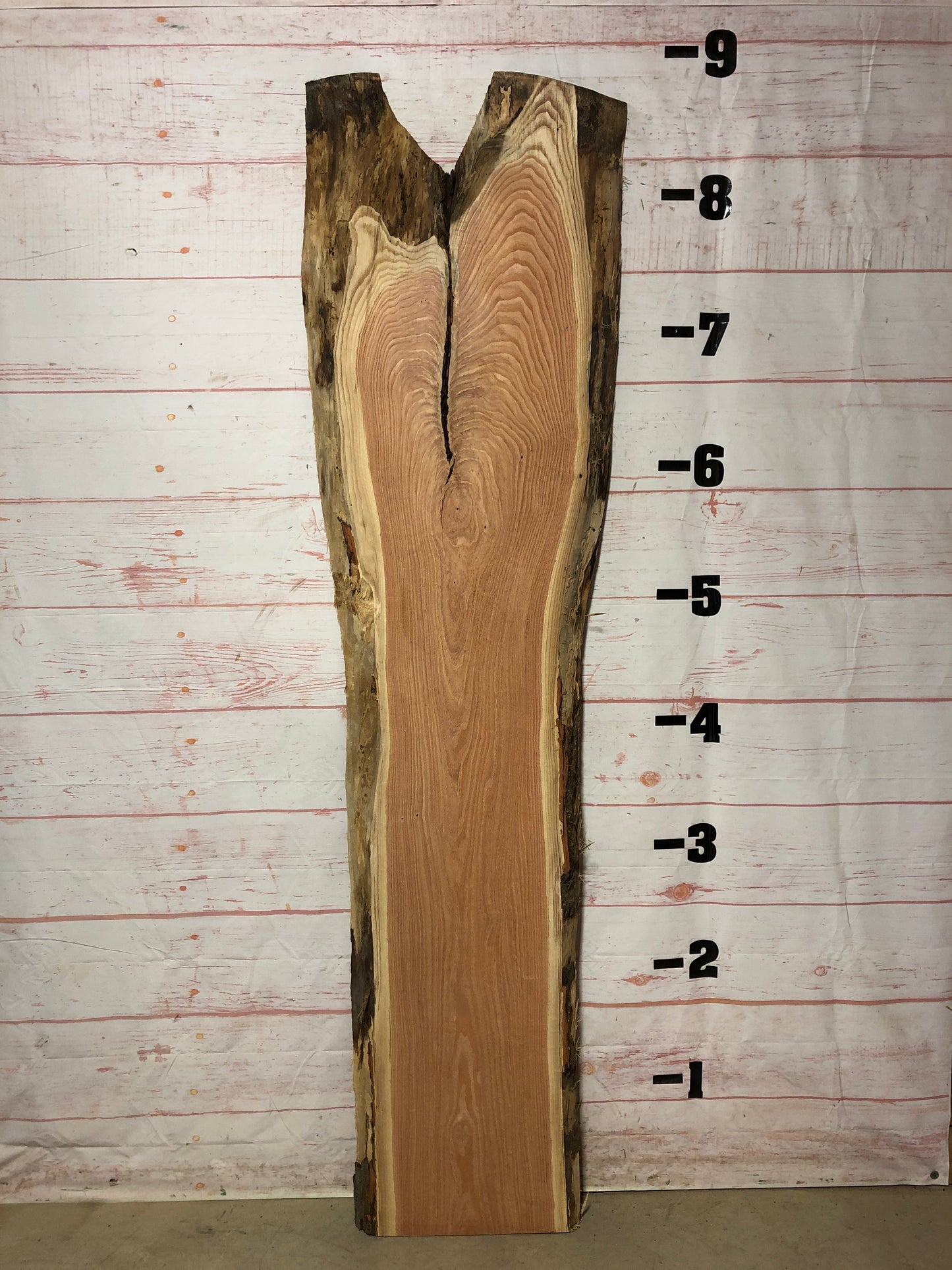 Live Edge Honey Locust Sku# 22597-37