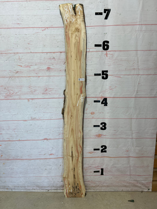 Live Edge Box Elder Sku#25706D-9