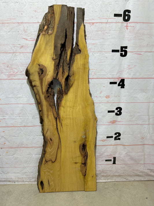 Live Edge Osage Orange Sku#27033B-21
