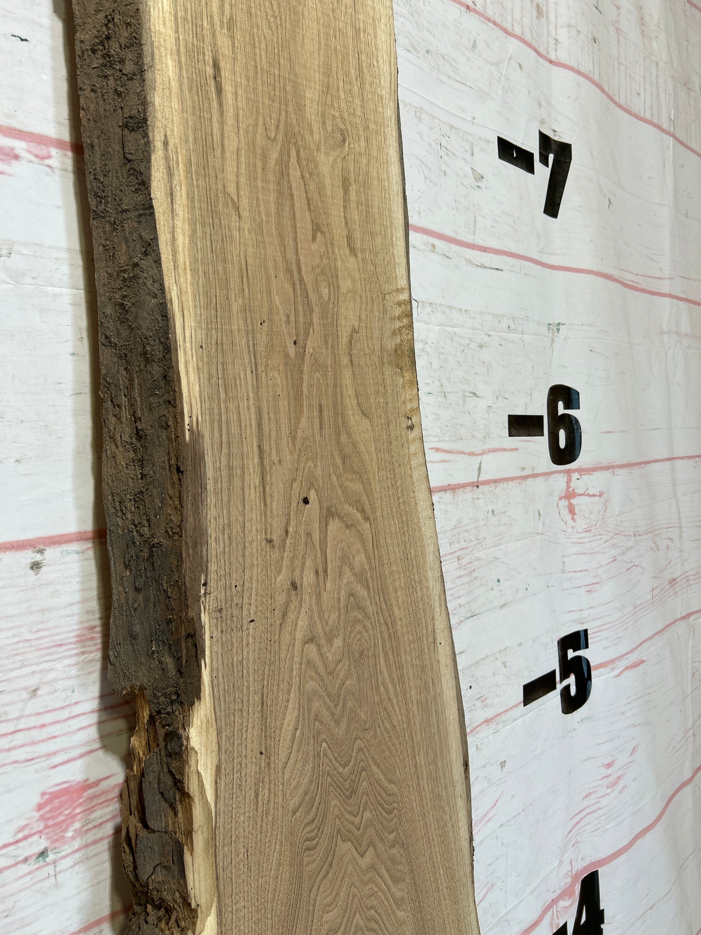 Live Edge Butternut Sku#25946-18