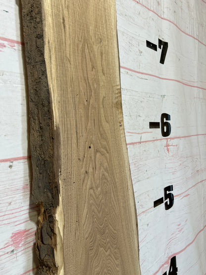 Live Edge Butternut Sku#25946-18