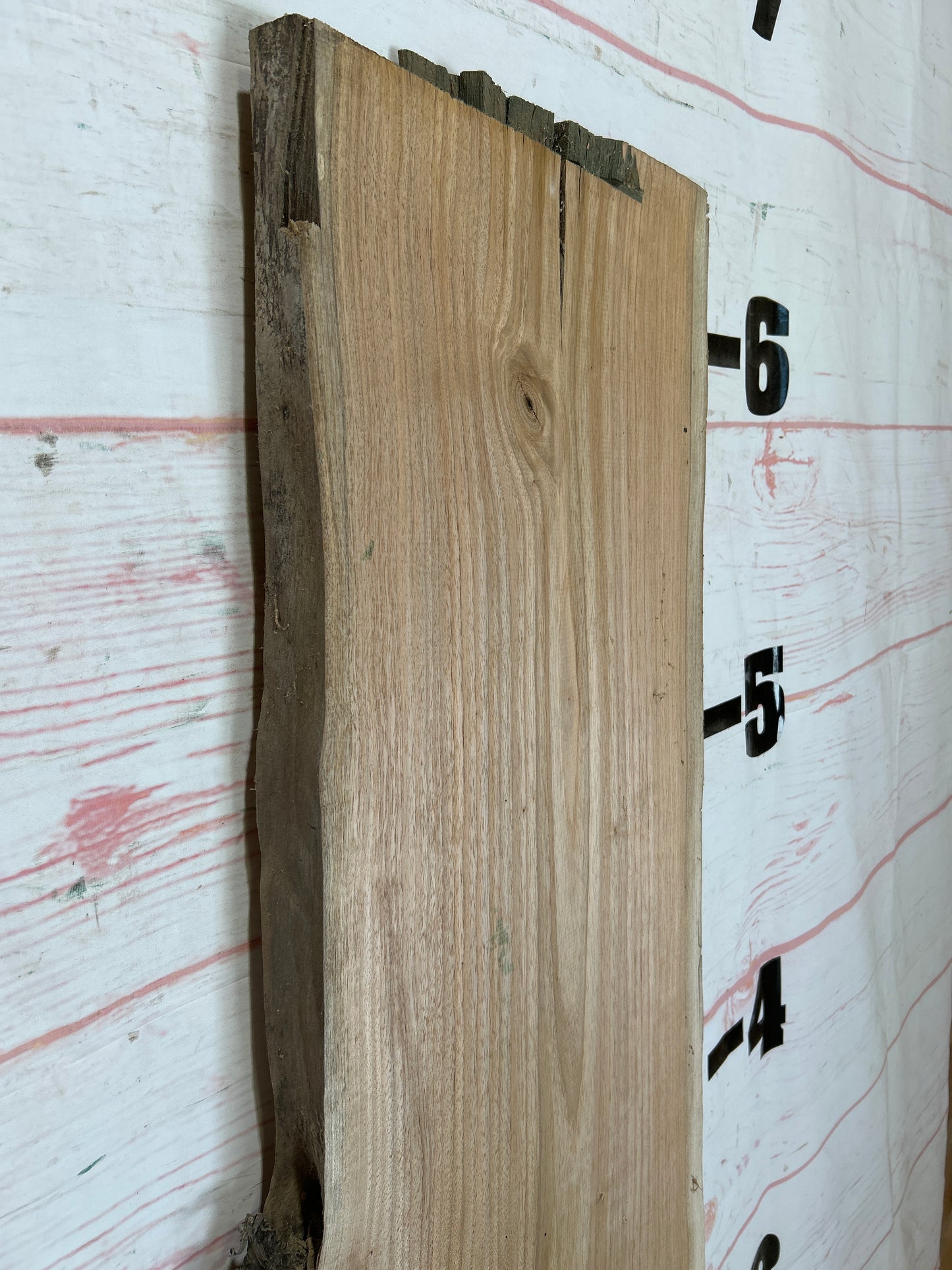 Live Edge Butternut Sku#25939C-13