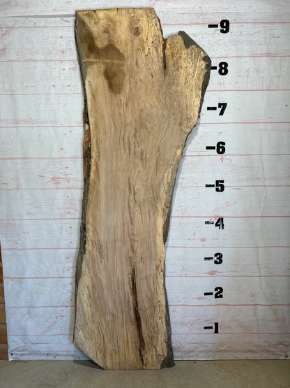 Live Edge Maple Sku#26264-49
