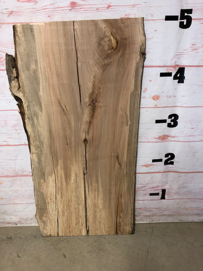 Live Edge Maple Sku# 22314B-23