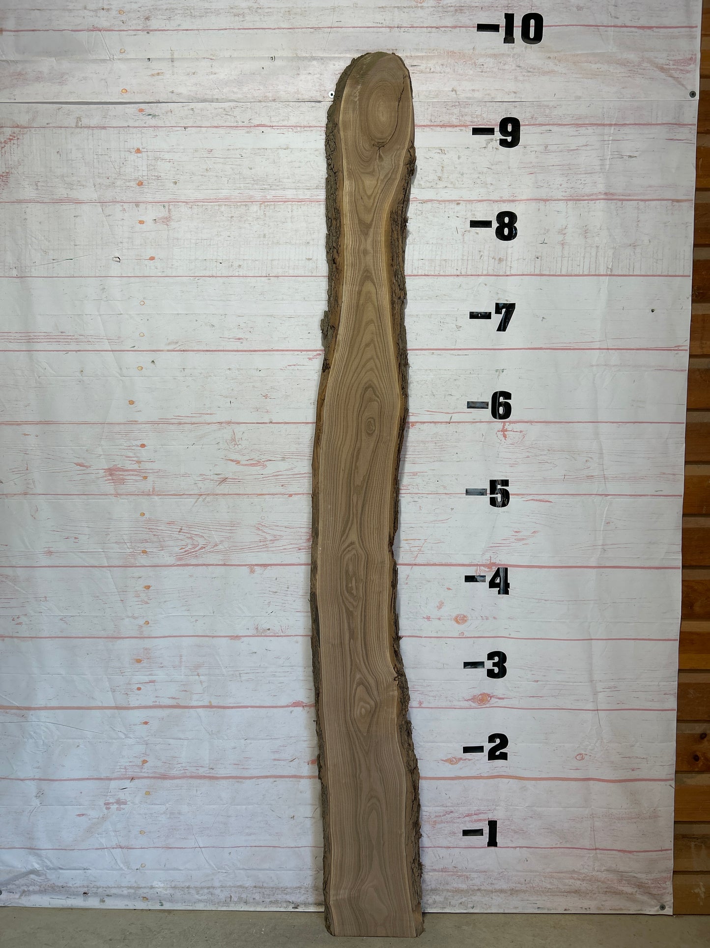 Live Edge Catalpa Sku#25977-15