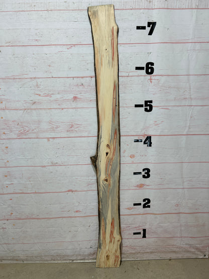 Live Edge Box Elder Sku#25730D-8
