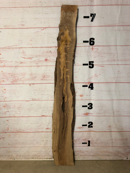 Live Edge Locust Sku# 21603D-11