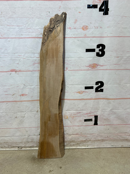 Live Edge Maple Sku#26392M-4