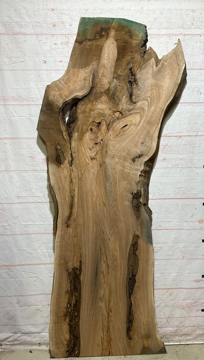 Live Edge Butternut Sku#26749-47