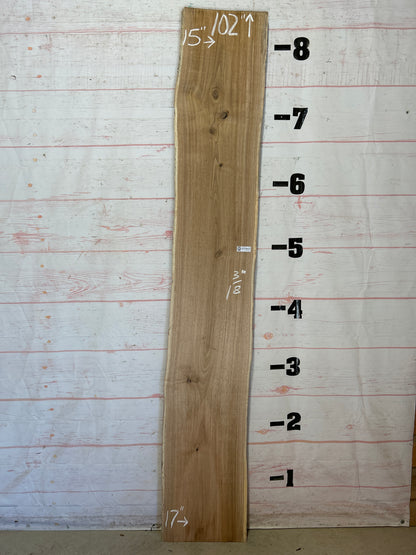 Live Edge Butternut Sku#26327C-17