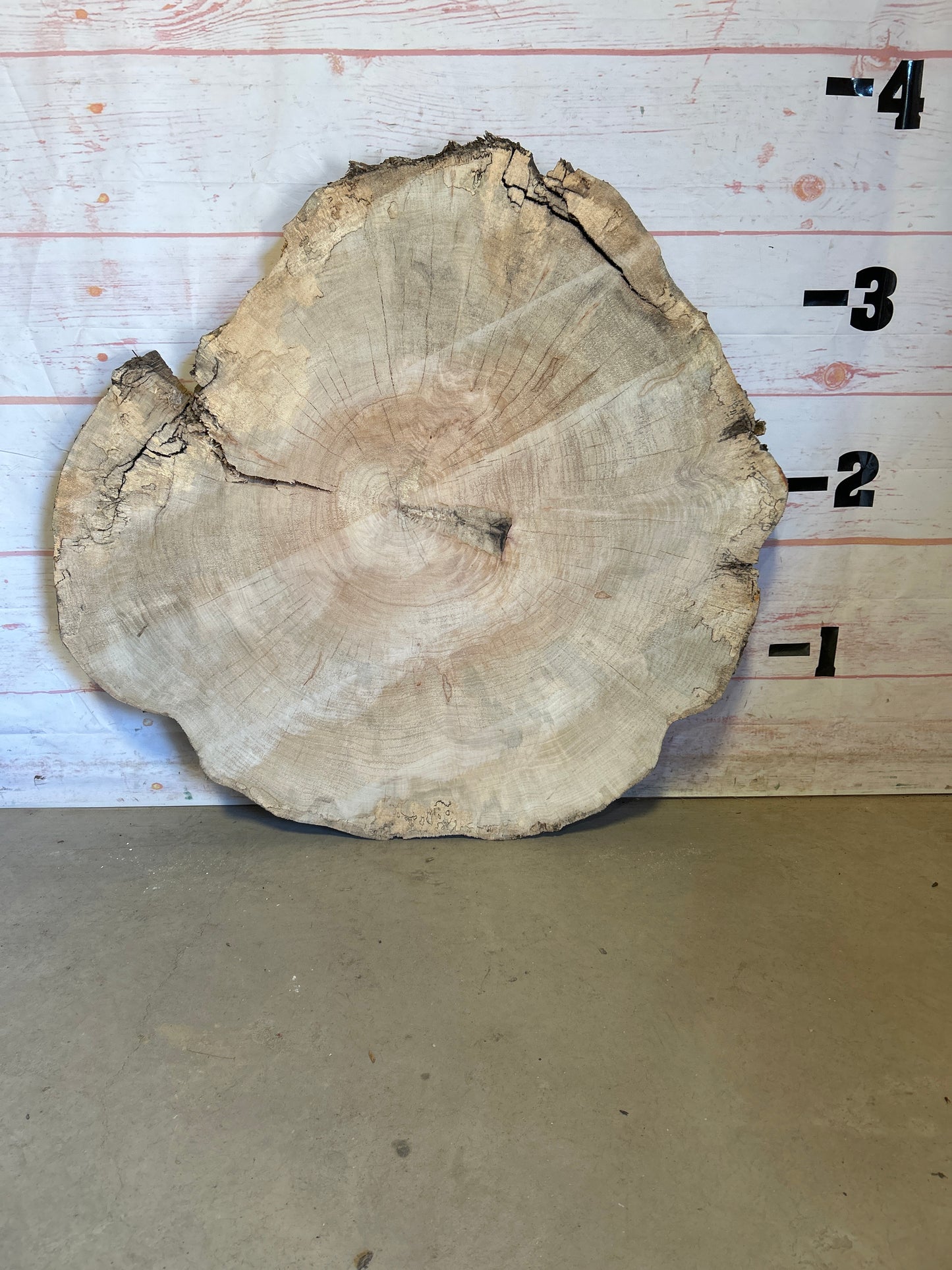 Live Edge Maple Cookie #24005