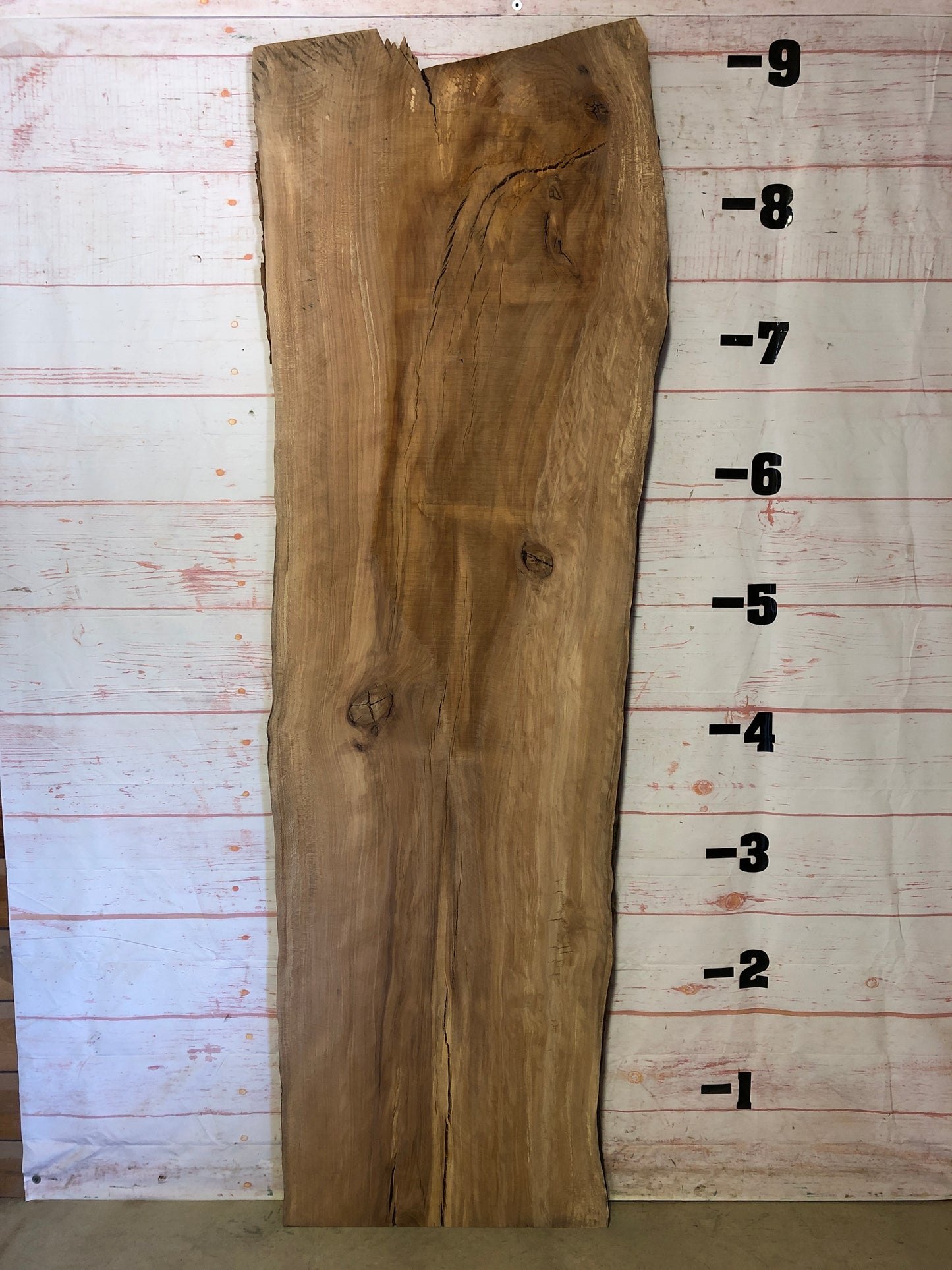 Live Edge Sycamore Sku# 22573-50