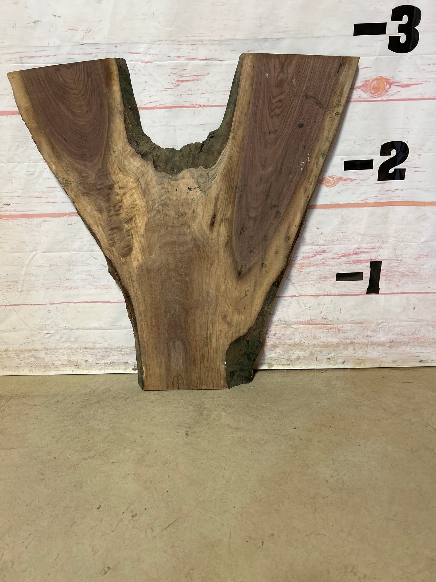 Live Edge Walnut Sku#24161M-8