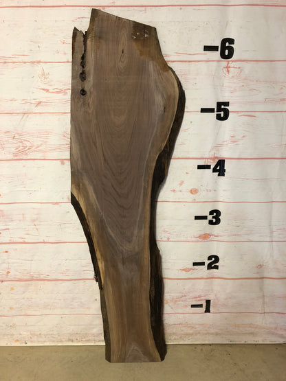 Live Edge Walnut Sku# 21681G-13