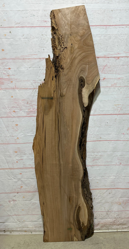 Live Edge Butternut Sku#26752-19