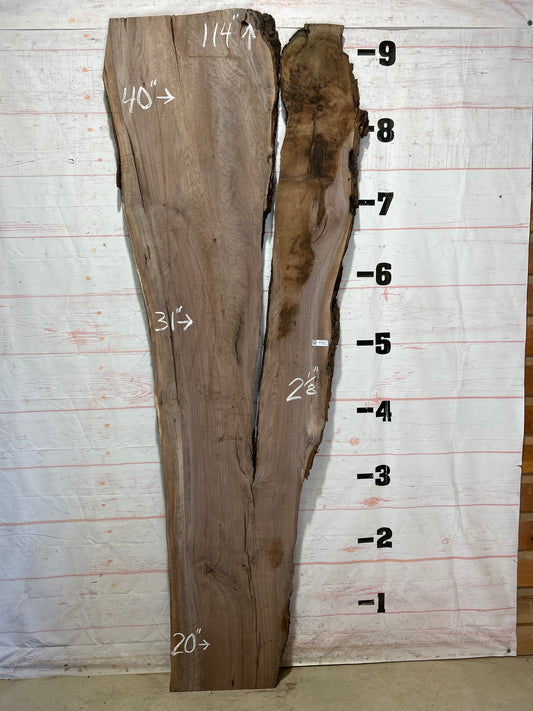 Live Edge Walnut Sku#27132-48