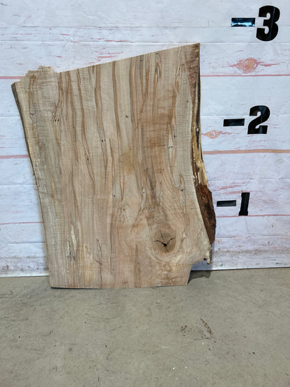 Live Edge Maple Sku#26480M-11