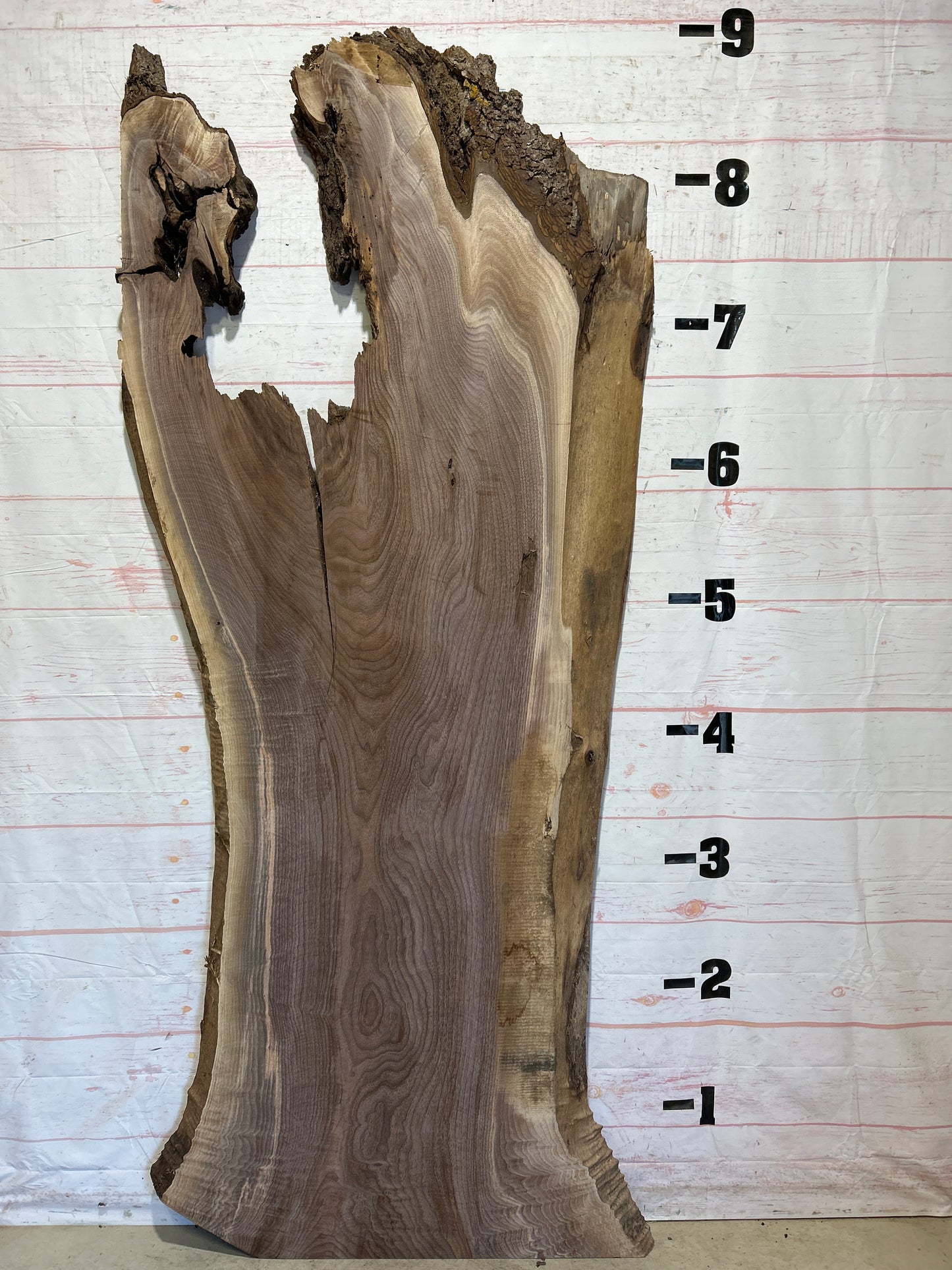 Live Edge Walnut Sku#26239S-81