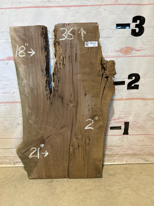Live Edge Walnut Sku#26982M-10