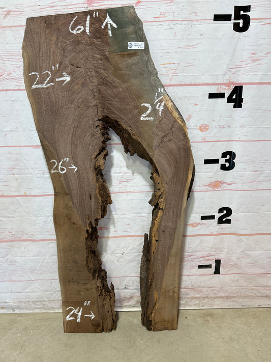 Live Edge Walnut Sku#25462A-23