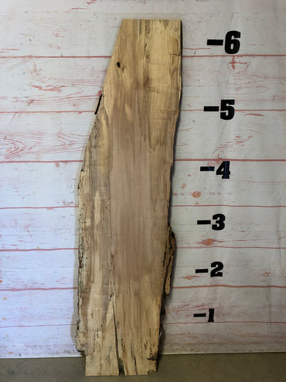 Live Edge Spalted Maple Sku#22676E-15