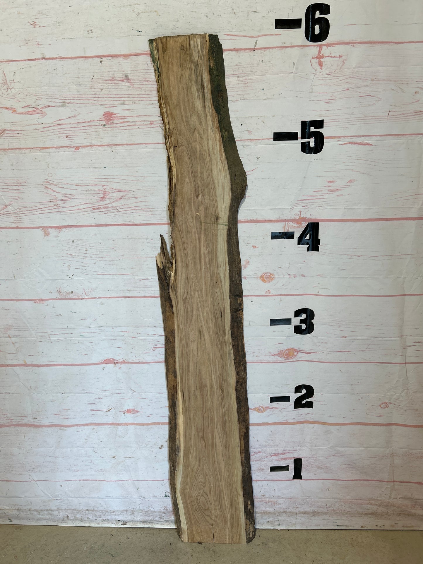 Live Edge Butternut Sku#25948M-7