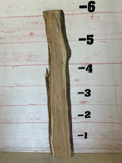 Live Edge Butternut Sku#25948M-7