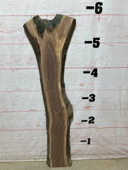 Live Edge Walnut Sku#27084G-16