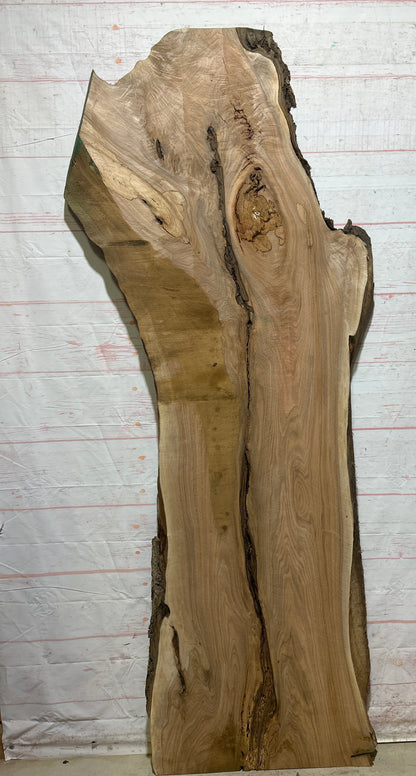 Live Edge Butternut Sku#26748-45