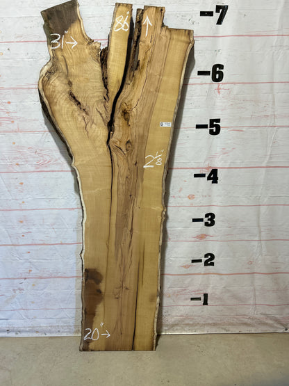 Live Edge Mulberry Sku#27105-31