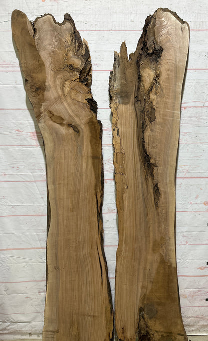 Live Edge Butternut Sku#26753S-52