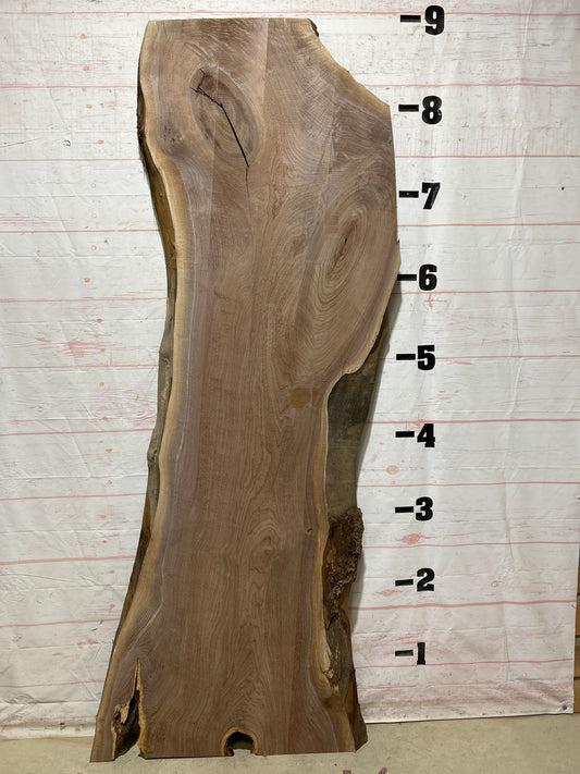 Live Edge Walnut Sku#27122-52